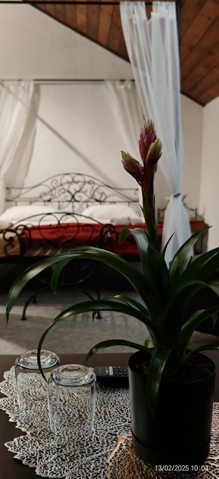 Hotel Plzensky Dvur Frydek-Mistek Bagian luar foto