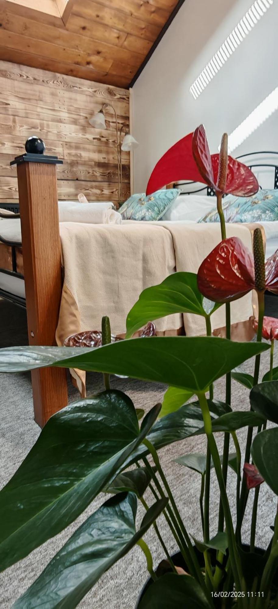 Hotel Plzensky Dvur Frydek-Mistek Bagian luar foto